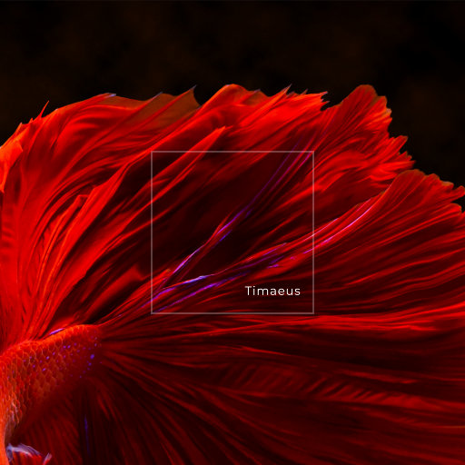 肉丝到爽🔞高潮痉挛机器
